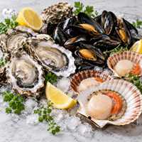 oceanfood.hu - Tengeri termékek kis- és nagykereskedése