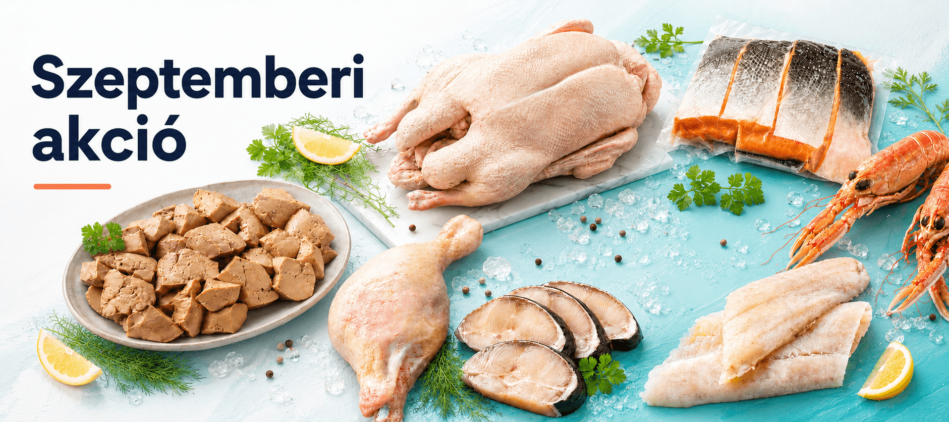 oceanfood.hu - Tengeri termékek kis- és nagykereskedése