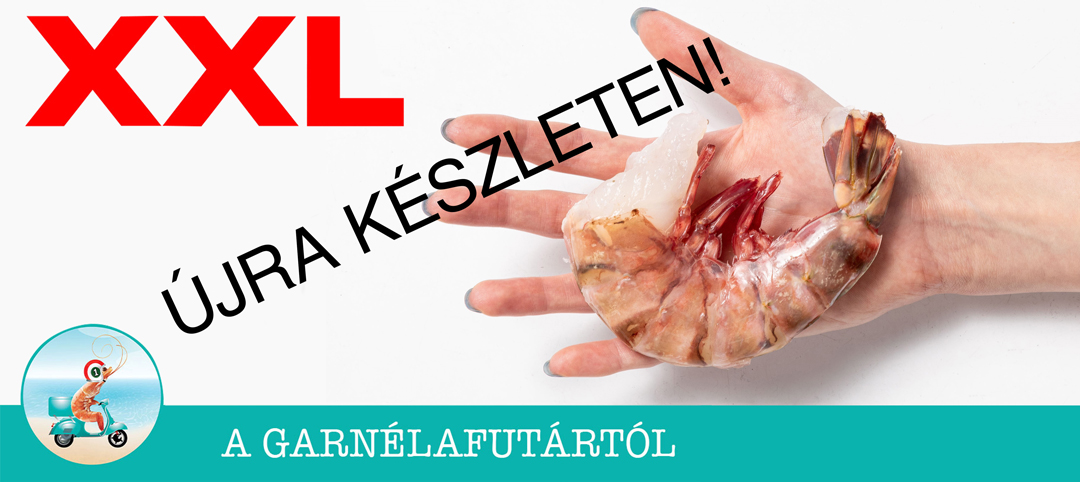 oceanfood.hu - Tengeri termékek kis- és nagykereskedése