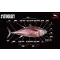 Bluefin tonhal Carpaccio T-bone, szuperfagyasztott