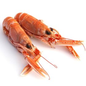 Scampi 17/20, gyorsfagyasztott