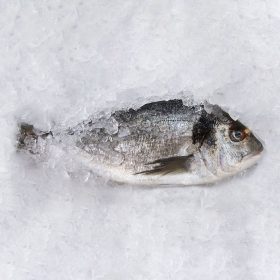 Friss orata (dorada, aranydurbincs) 400-600gr/db