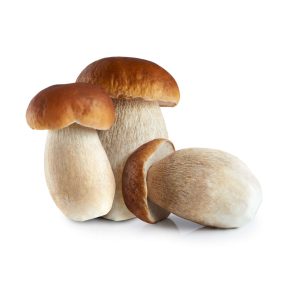 Vargánya gomba, kockázott, gyorsfagyasztott