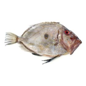 Friss szent péter hal, egész