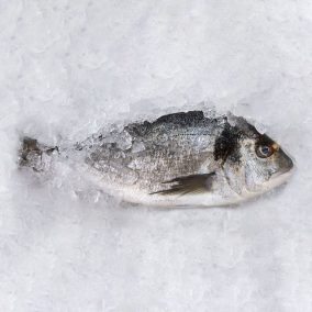 Friss orata (dorada, aranydurbincs) 600-800gr/db  6kg/karton