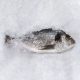 Friss orata (dorada, aranydurbincs) 600-800gr/db  6kg/karton