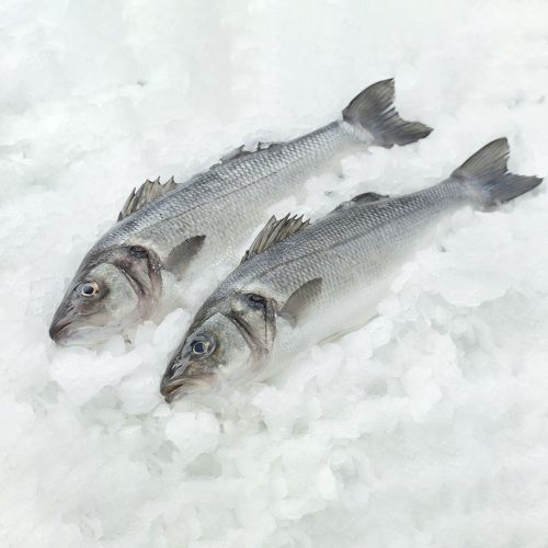 Friss egész branzino (farkassügér) 400-600gr/db 6kg/karton
