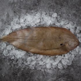 Friss doveri nyelvhal