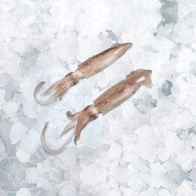 Patagóniai tintahal C4, egész pucolatlan kb. 5kg/karton