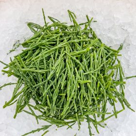 Tengeri spárga (salicornia), hűtött